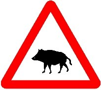 Señal: Paso de animales en libertad (jabalíes): lugar donde frecuentemente la vía puede ser atravesada por animales en libertad, en una proporción muy significativa jabalíes